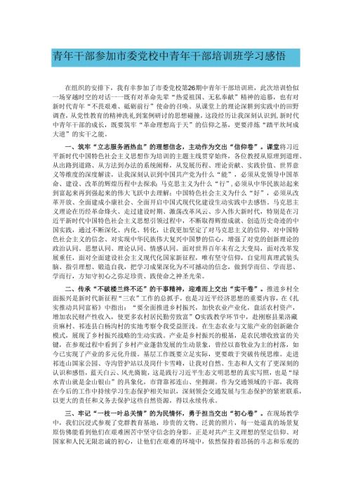 青年干部参加市委党校中青年干部培训班学习感悟.docx
