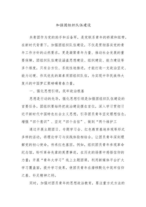 加强团组织队伍建设.docx