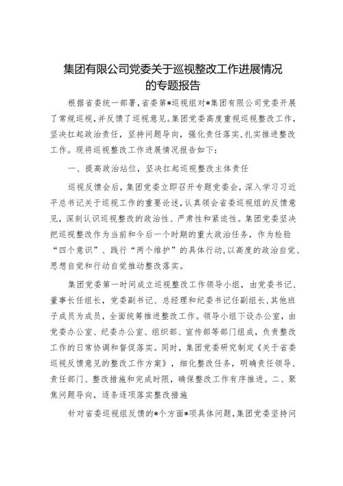 集团有限公司党委关于巡视整改工作进展情况的专题报告.docx