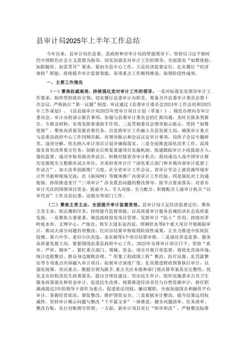 县审计局2025年上半年工作总结.docx