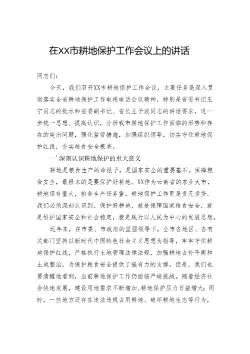 在市耕地保护工作会议上的讲话.docx