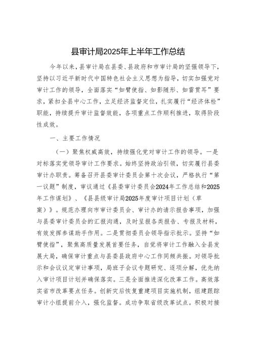 县审计局2025年上半年工作总结.docx