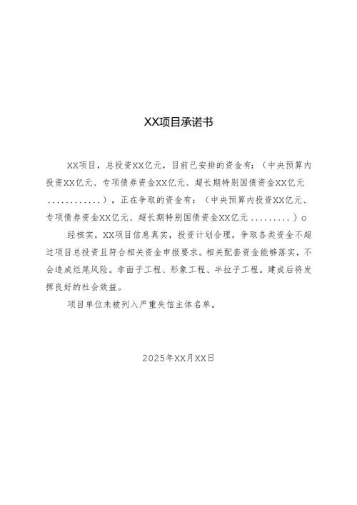 某项目承诺书.docx