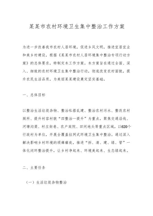 某某市农村环境卫生集中整治工作方案.docx