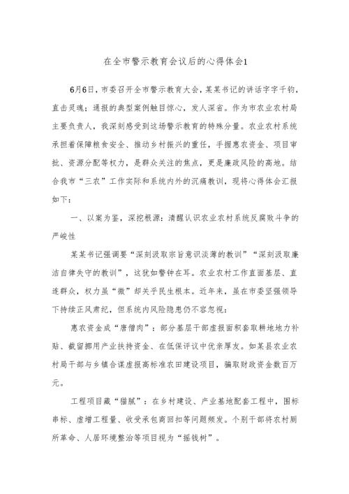 在全市警示教育会议后的心得体会1.docx