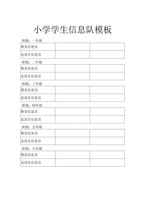 小学学生信息队模板.docx