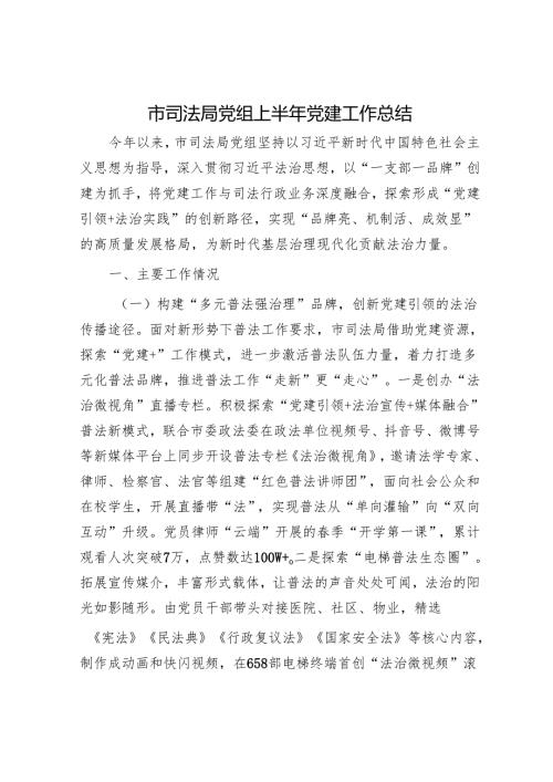 市司法局党组上半年党建工作总结.docx