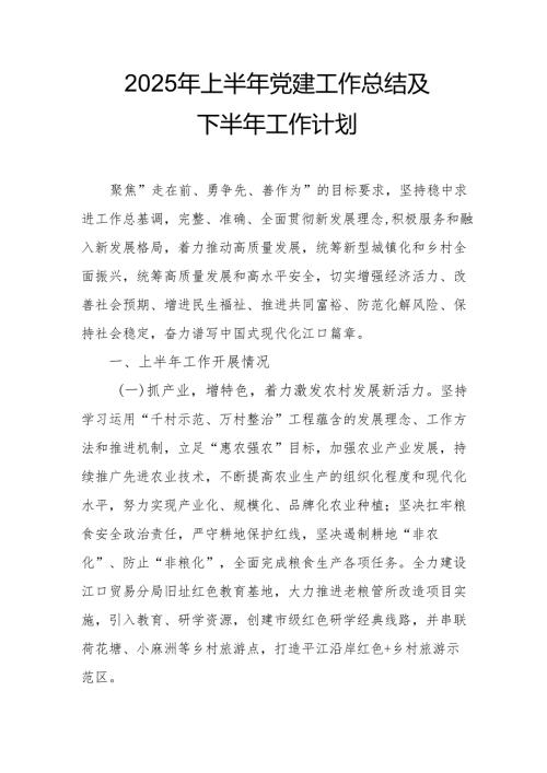开展2025年上半年《党建工作总结》及下一步工作打算（4份）_75.docx