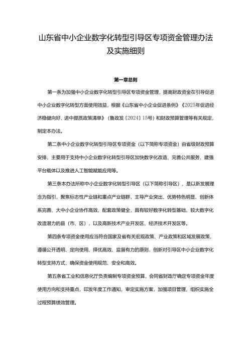 山东省中小企业数字化转型引导区专项资金管理办法及实施细则.docx