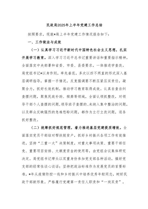 民政局2025年上半年党建工作总结.docx