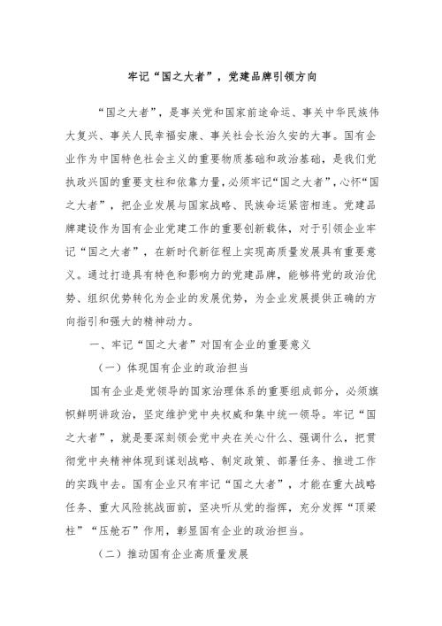 牢记“国之大者”党建品牌引领方向.docx