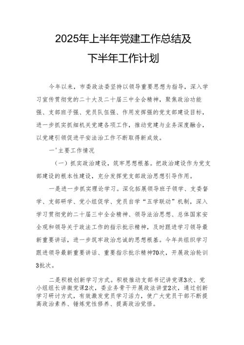 开展2025年上半年《党建工作总结》及下半年工作计划合计13份.docx