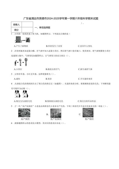 广东省清远市英德市2024-2025学年第一学期六年级科学期末试题.docx