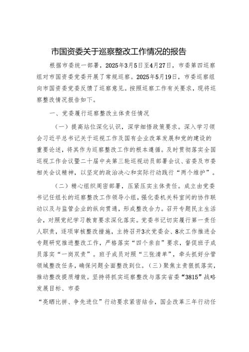 市国资委关于巡察整改工作情况的报告.docx