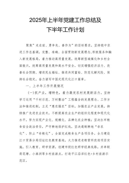 开展2025年上半年《党建工作总结》及下一步工作打算（4份）_58.docx