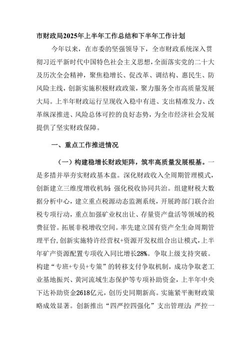 市财政局2025年上半年工作总结和下半年工作计划.docx