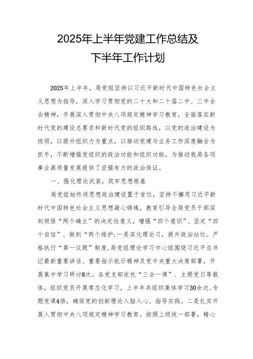 开展2025年上半年党建工作总结及下半年工作计划（合计10份）.docx