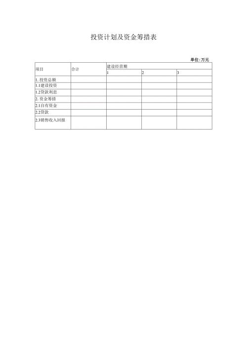 投资计划及资金筹措表.docx