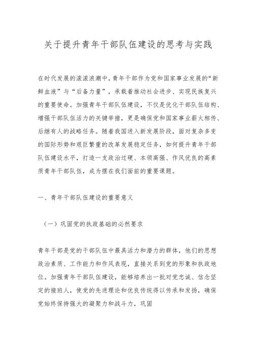 关于提升青年干部队伍建设的思考与实践.docx