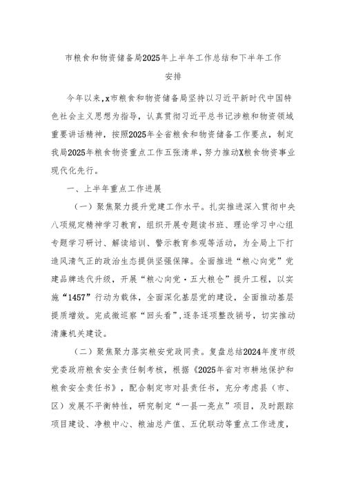 市粮食和物资储备局2025年上半年工作总结和下半年工作安排.docx