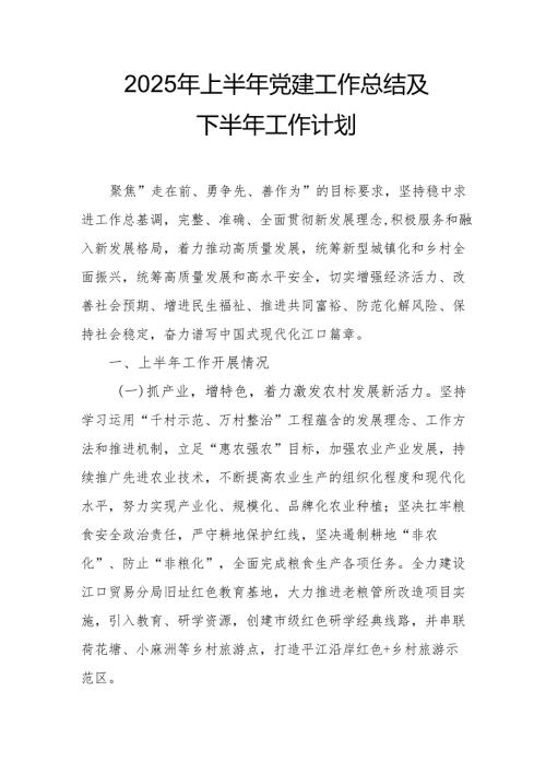开展2025年上半年《党建工作总结》及下一步工作打算（4份）_57.docx