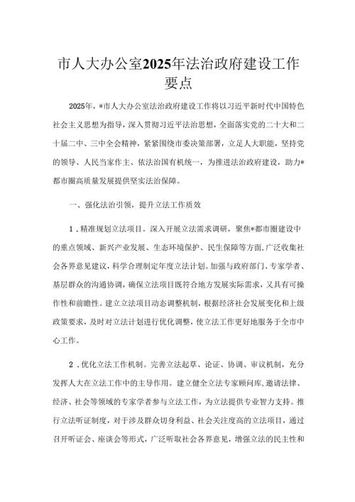 市人大办公室2025年法治政府建设工作要点.docx