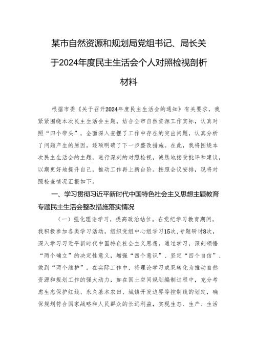 某市自然资源和规划局党组书记、局长关于2024年度民主生活会个人对照检视剖析材料.docx
