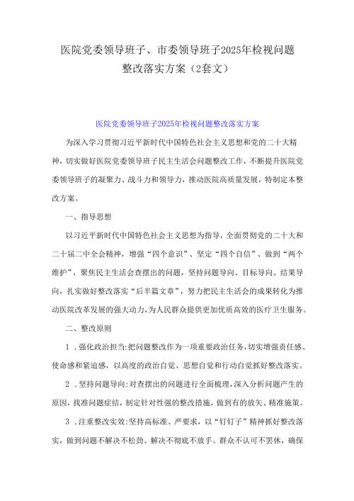 医院党委领导班子、市委领导班子2025年检视问题整改落实方案（2套文）.docx
