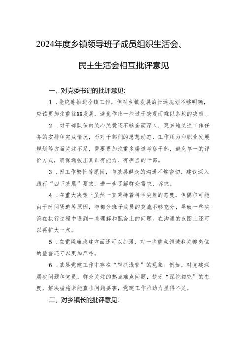 2024年度乡镇领导班子成员组织生活会、民主生活会的相互批评意见.docx
