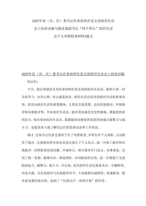 2025年县(市、区)委书记在参加所在党支部组织生活会上的讲话稿与镇党委副书记“四个带头”组织生活会个人对照检查材料2篇文.docx