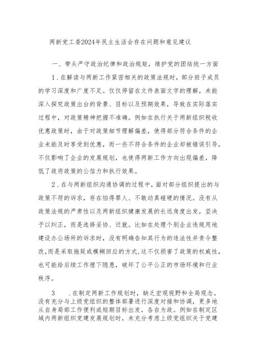 两新党工委2024年民主生活会存在问题和意见建议.docx