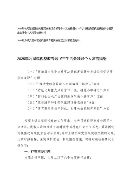 2025年乡镇党委委员、党委书记公司巡视整改专题民主生活会领导个人发言对照检查材料（六个方面）.docx