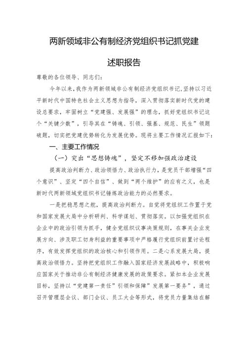 两新领域非公有制经济党组织书记抓党建述职报告.docx
