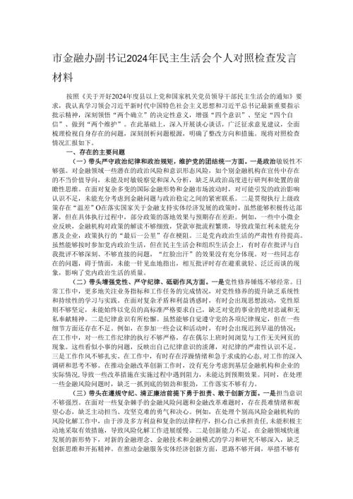 市金融办副书记2024年民主生活会个人对照检查发言材料.docx