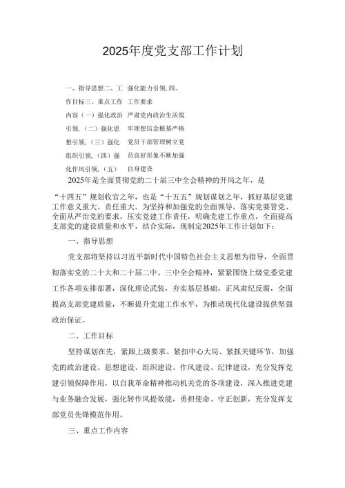 （2025年）度党支部工作计划.docx