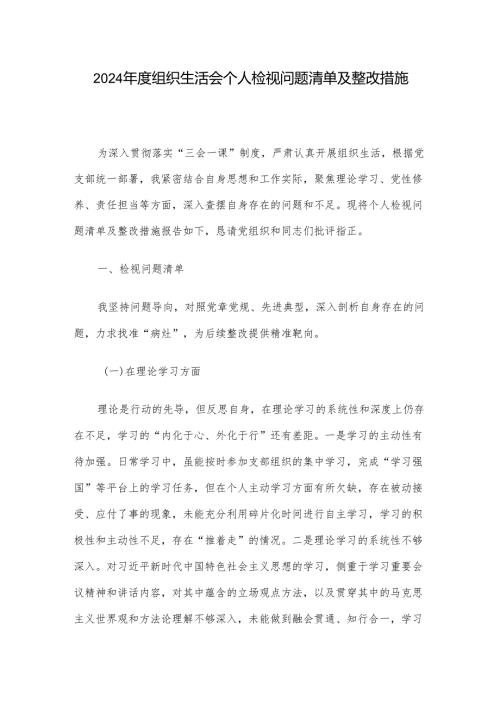 2024年度组织生活会个人检视问题清单及整改措施.docx