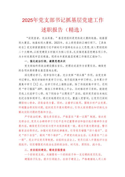 2025年党支部书记抓基层党建工作述职报告（精选）.docx