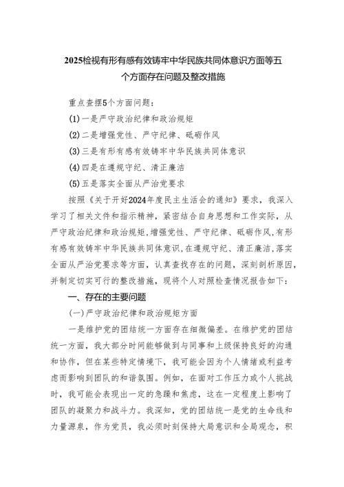 2025检视有形有感有效铸牢中华民族共同体意识方面等五个方面存在问题及整改措施.docx