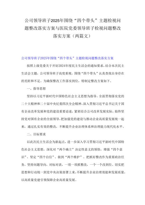 公司领导班子2025年围绕“四个带头”主题检视问题整改落实方案与医院党委领导班子检视问题整改落实方案（两篇文）.docx