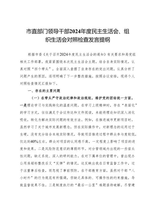 市直部门领导干部2024年度民主生活会、组织生活会对照检查发言提纲.docx