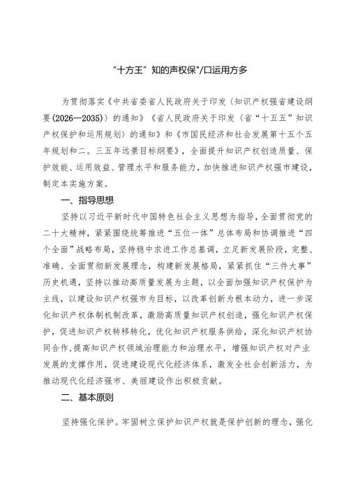 “十五五”知识产权保护发展规划.docx