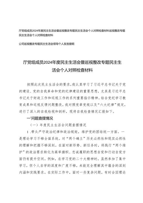 厅党组成员、公司2024年度民主生活会暨巡视整改专题民主生活会个人对照检查材料发言提纲.docx