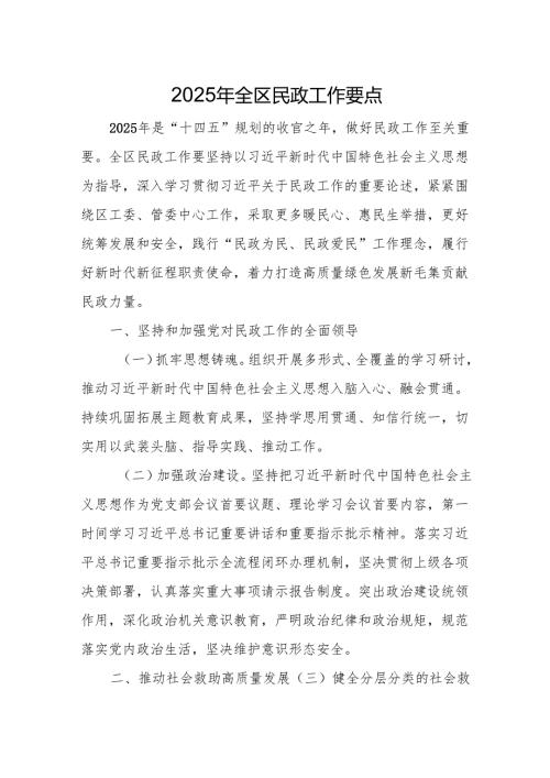 2025年全区民政工作要点.docx