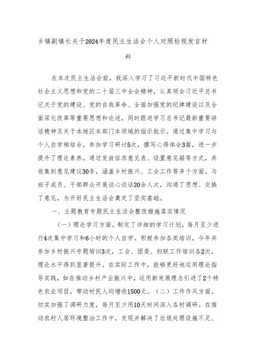 乡镇副镇长关于2024年度民主生活会个人对照检视发言材料.docx