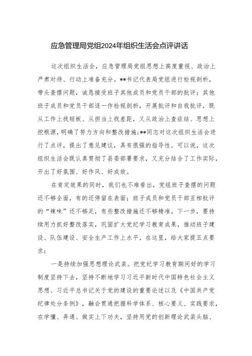 应急管理局党组2024年组织生活会点评讲话.docx
