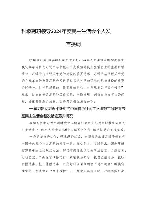 科级副职领导2024年度民主生活会个人检查发言提纲.docx
