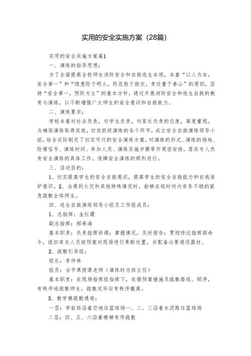 实用的安全实施方案（28篇）.docx