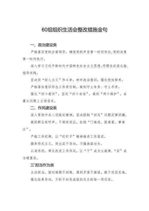 60组组织生活会整改措施金句.docx