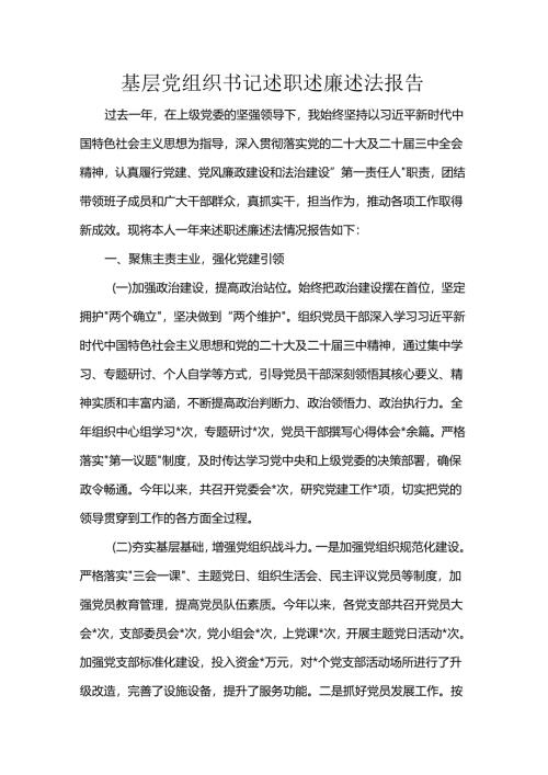 基层党组织书记述职述廉述法报告.docx