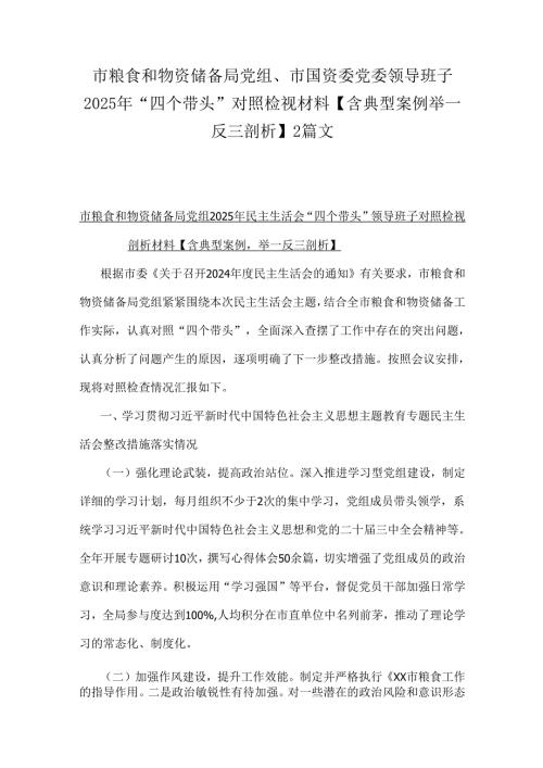 市粮食和物资储备局党组、市国资委党委领导班子2025年“四个带头”对照检视材料【含典型案例举一反三剖析】2篇文.docx